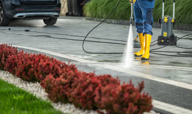 Best Driveway Pressure Washing  in Rothsville, PA